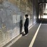 どんぐり　2/26 的头像