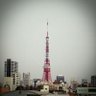 うにこ🎲✏🍃🦄🌕🕐🗻💐🚅📱🚥👾😈🦊🏍 的头像