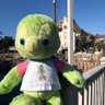 Adventure in the Disney world's profile picture