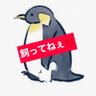 らしこ🦁 的头像