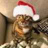Catie's profile picture