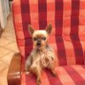 Kenji's profile picture