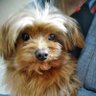 かめせんにん2 profil fotoğrafı