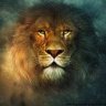 leรฃo da montanha ๐ฆ๐'s profile picture