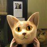 Profilbild von ぱんぷきん