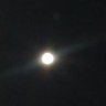 たま's profile picture