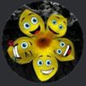 Mohammed Ehtesham's profile picture