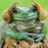 Profilbild von krom