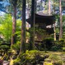 Фото профиля しょうたいむ。