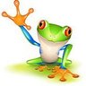 Profilbild von frog101