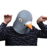Фото профиля Pigeon