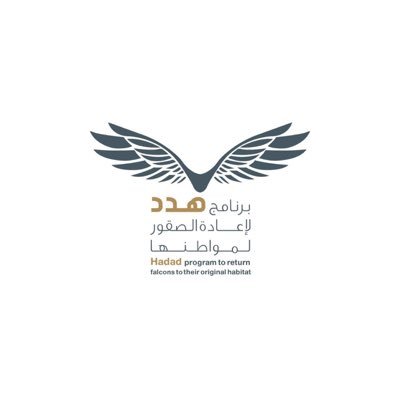 Hadad_NCF's profile picture