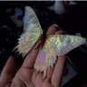 ButterflyNoelle🦋🌌's profile picture