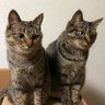 JIN1961 profil fotoğrafı