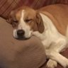 Maci Malanga's profile picture