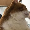 マット's profile picture