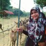 Profilbild von fatin azizi