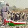 Фото профиля راعي غنم