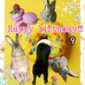 ニカ.ユリちゃんねる🐼🐰 的头像