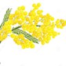 Фото профиля séraphine bru
