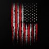 USA Since 1973 的头像