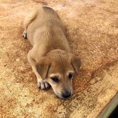 Latte045's profile picture