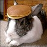 Profilbild von Pancake