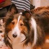 まこ's profile picture