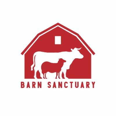 Barn Sanctuary's profile picture