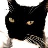 Profilbild von Posthuman Cat 🇬🇧 Human. Normal. Reform UK