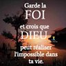 PETIT COLAS's profile picture