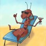 Фото профиля my little ant