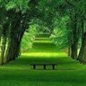 Фото профиля ابراهيم عبدالله