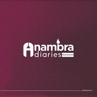 anambra_diaries's profile picture