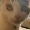 khadra artan's profile picture