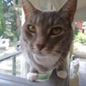 Hermes's profile picture