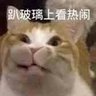 bomb 的头像
