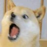 吠えてるパピー / BarkingPuppy's profile picture