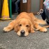 aki profil fotoğrafı