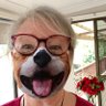 Фото профиля 🐶 The Dog Psychologist 🐶