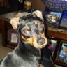 Zap's profile picture