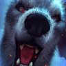 Profilbild von black Wolf