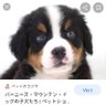 ひろたん👓 的头像
