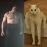 kylocat profil fotoğrafı