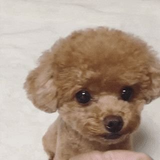 5일's profile picture