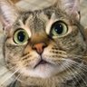 まさみん's profile picture