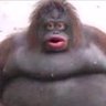 Profilbild von Mitchell Dawson