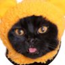 Profilbild von 輝き