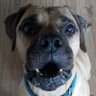 News Flash Gordy's profile picture