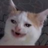 Profilbild von auk